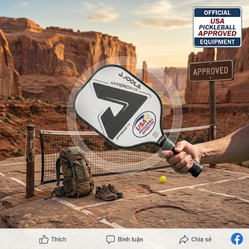 usa pickleball approved paddles